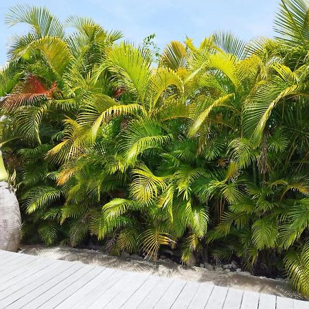 Villa Mangokera 圣弗朗索瓦 外观 照片
