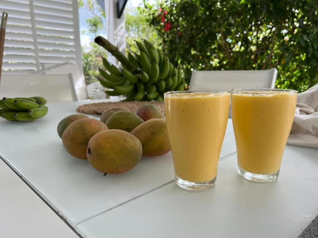 Villa Mangokera 圣弗朗索瓦 外观 照片