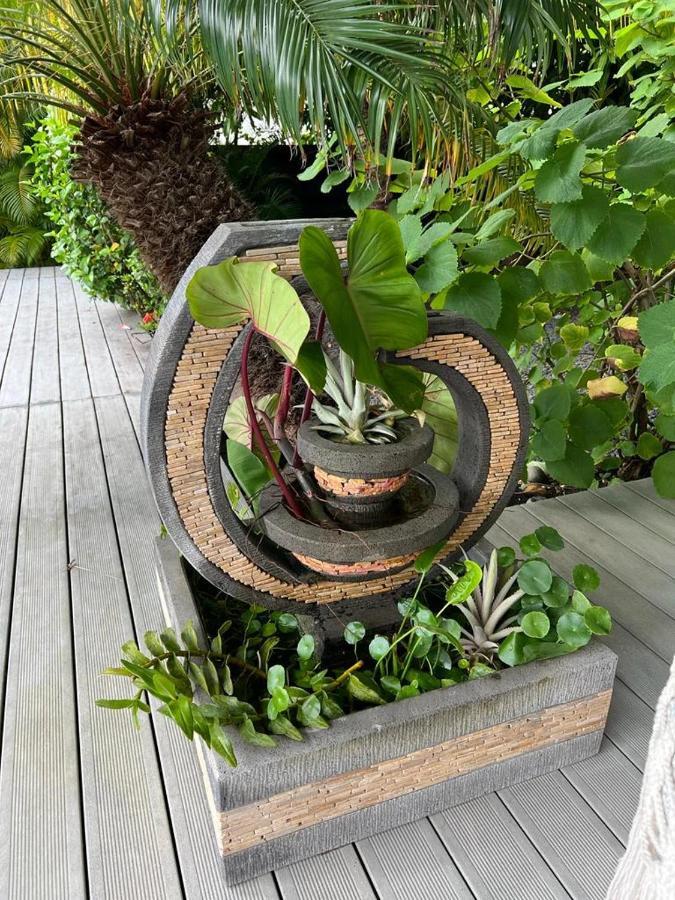 Villa Mangokera 圣弗朗索瓦 外观 照片