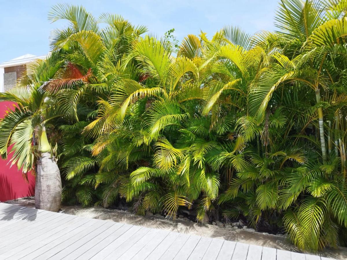 Villa Mangokera 圣弗朗索瓦 外观 照片